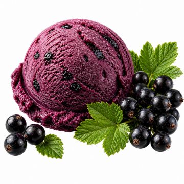 Kaiserstühler Landeis Becher Schwarze Johannisbeere 130ml